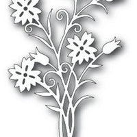 TUTTI-113 Dianthus Bunch